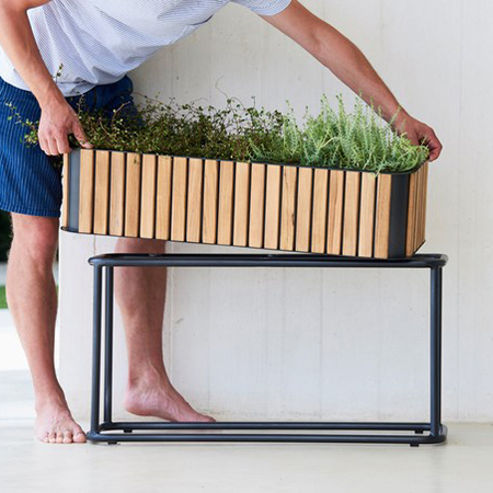 Flowerbox Cane Line