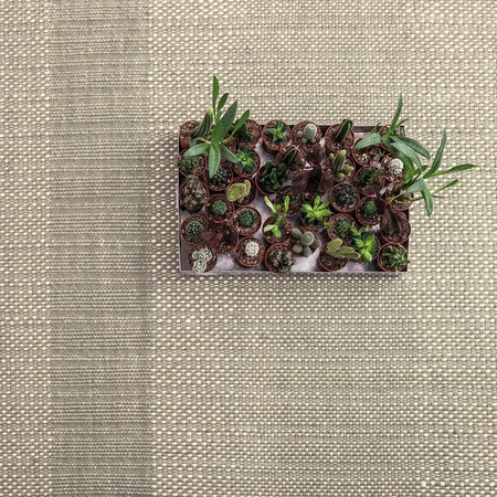 Teppich 'Tres Texture'