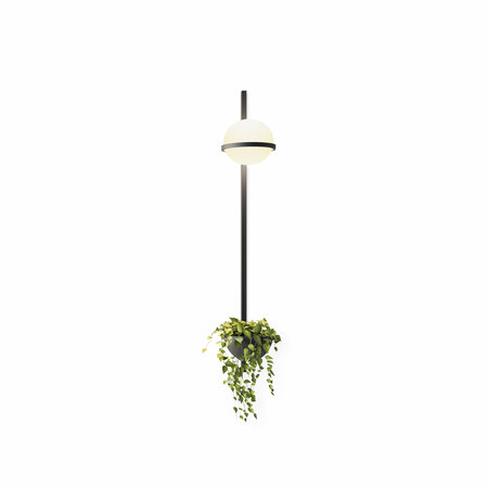 Vibia Wandleuchte 'Palma' Graphit, 1 Leuchtkugel mit Pflanzentopf