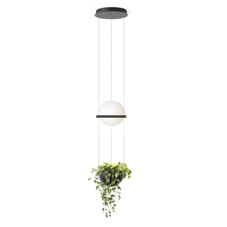 Vibia Schmale Pendelleuchte 'Palma' Graphit, 1 Leuchtkugel mit Pflanzentopf
