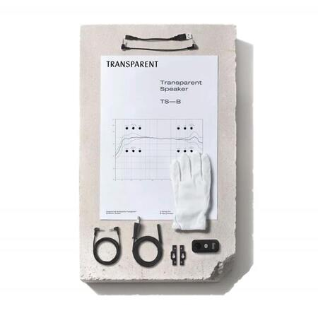 Transparentsound Steel Speaker