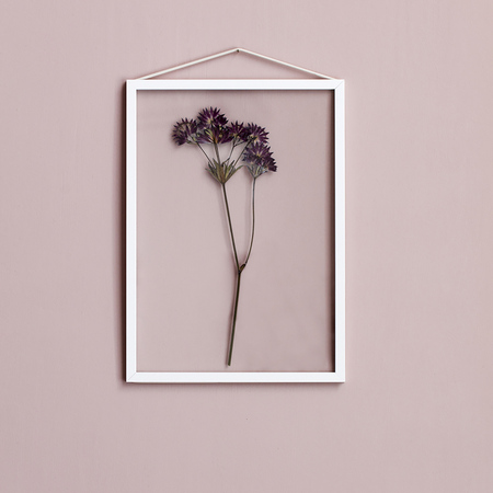 Moebe Rahmen 'Frame' Weiss, A2