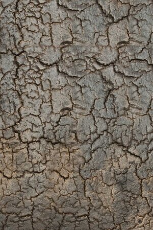 Ethnicraft Triptic Beistelltisch - Minerals - Whisky - Lava