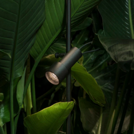 Marset Palosanto B 5/60 Tischleuchte - Schwarz