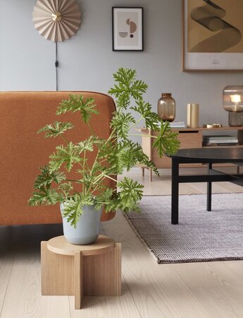 Huebsch Couchtisch Rund Holz Schwarz