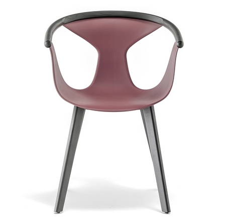 Pedrali Fox 3725-AN-Eschenholz Schwarz lasiert-ML-Polypropylen Marsala