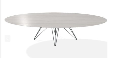 Joli Wire Tisch Oval-Anthrazit-300 x 128 cm-Travertino Grau