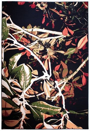 Sula Carpet Tropicana 2 - Teppich