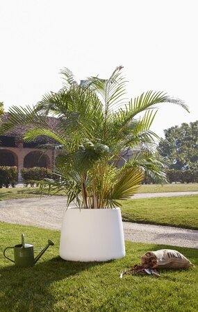 Magis - Tubby 3 Vase