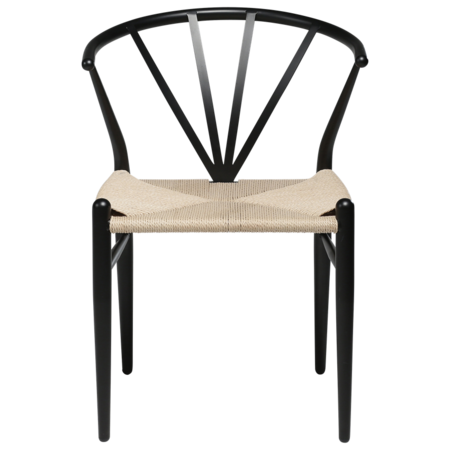 Dan-Form DELTA Chair Black Lacquer Legs