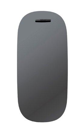 FDB Mobler I4 Birksø - Spiegel - 50 x 110 cm - Eiche schwarz (RAL 9005)