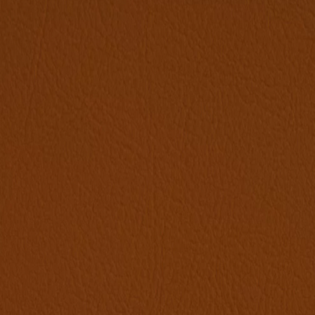 La Palma Cut Stuhl Kreuzfuss - Valencia 0035 (Teracotta Lederimitat)