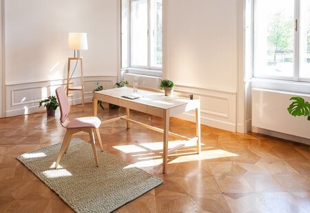 Sixay, Sixay Theo Desk Plus