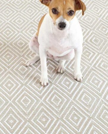 Dash and Albert Diamond Platinum/White