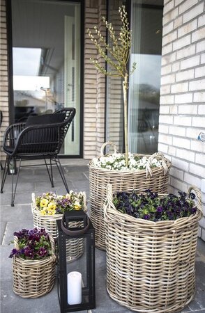 House N Caor Baskets