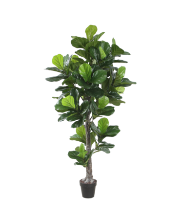 House N Fiddle Leaf Tree - 190 cm