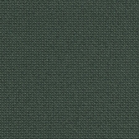 TIPTOE EASY SOFA – 2 SEATS - Forest Green