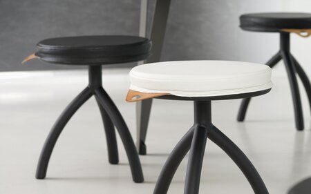 Functionals Cushion