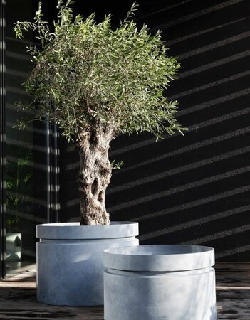 Serax Planter M Grey