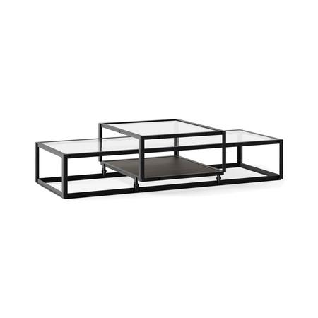 Pastoe Tangled Coffee Table Schwarz (RAL 9005) / Eichenfurnier dunkelbraun, Large
