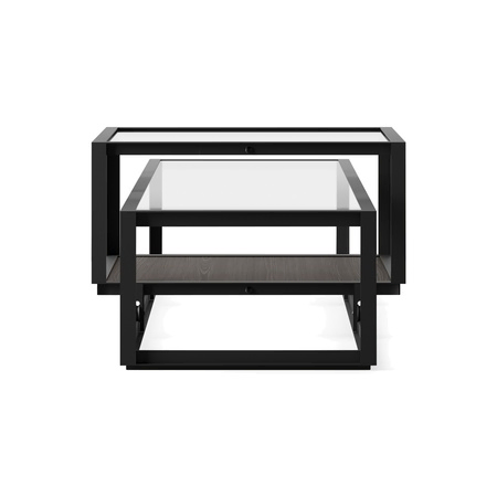 Pastoe Tangled Coffee Table Schwarz (RAL 9005) / Eichenfurnier dunkelbraun, Large