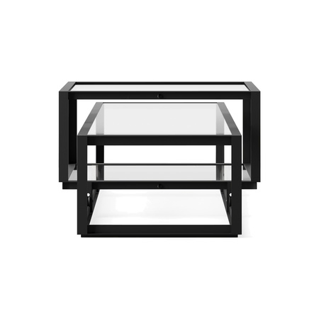 Pastoe Tangled Coffee Table Schwarz (RAL 9005) / Klarglas, Large