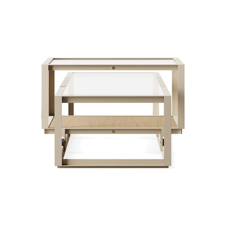 Pastoe Tangled Coffee Table Taupe (RAL 7006) / Eichenfurnier natur, Large