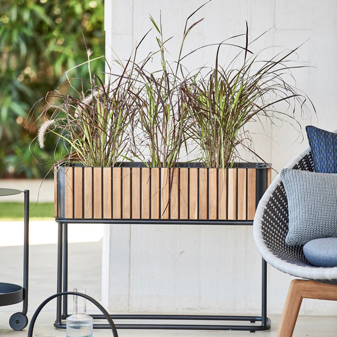 Flowerbox Cane Line