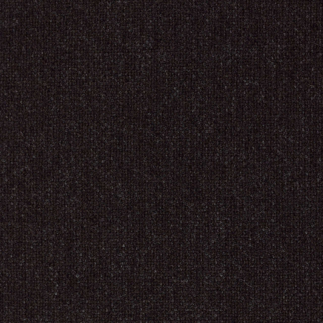 Sofa F51 Schwarz Tecta