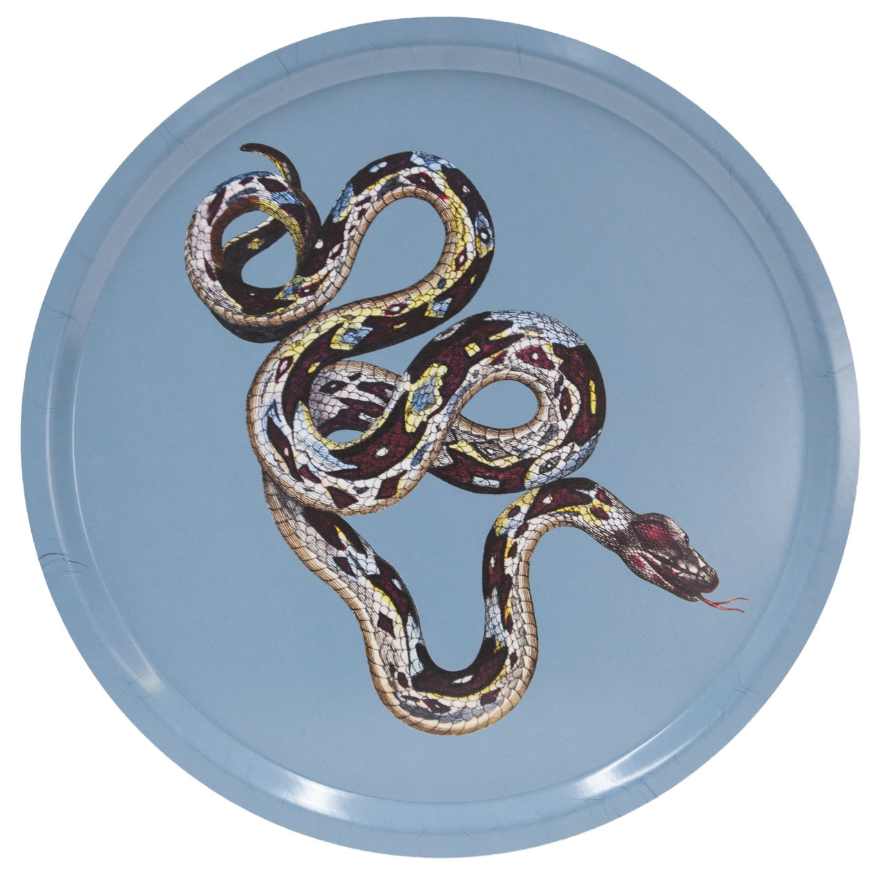 Tablett Serpentes 2 von Schönstaub