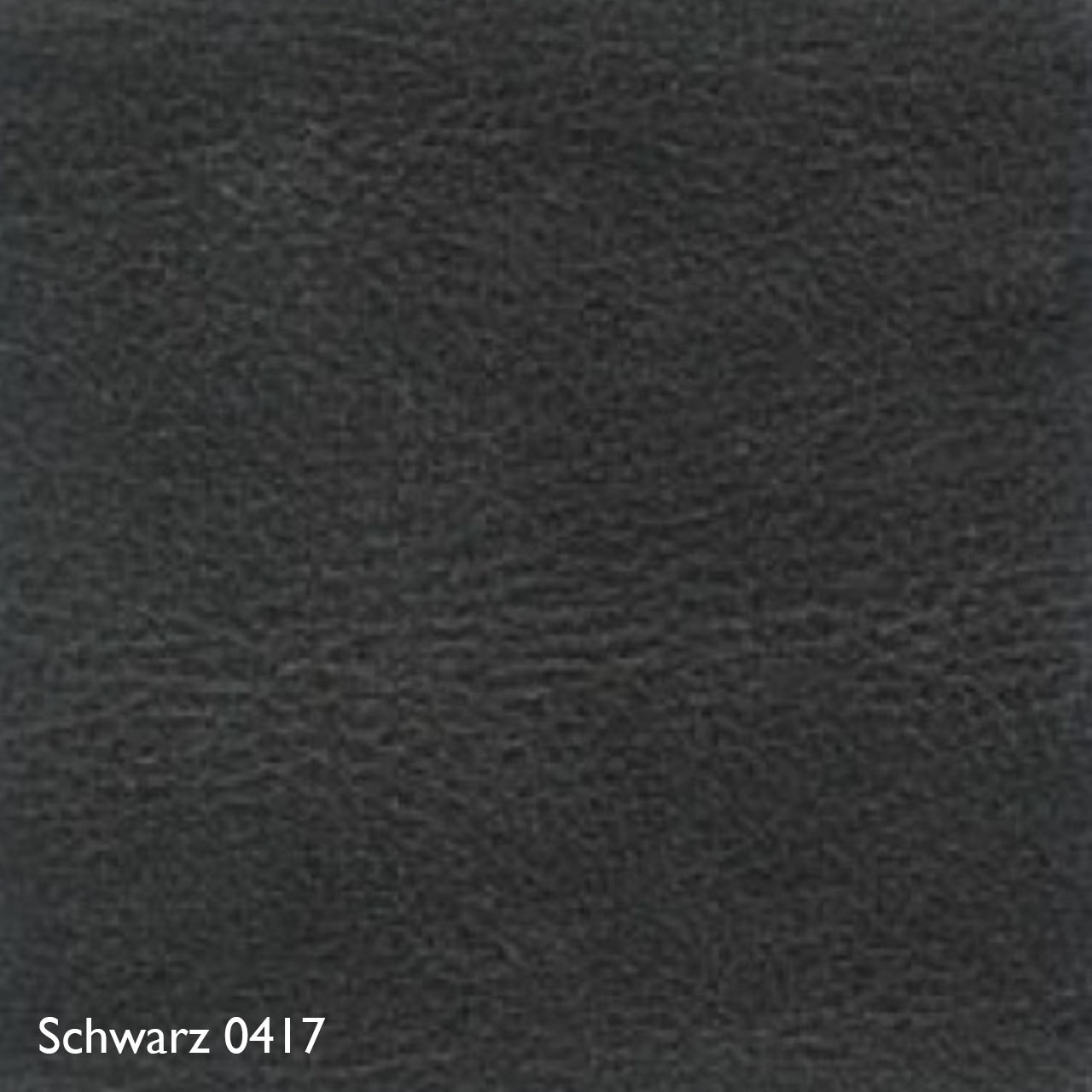 Farbkachel Leder Zanotta Schwarz 0417
