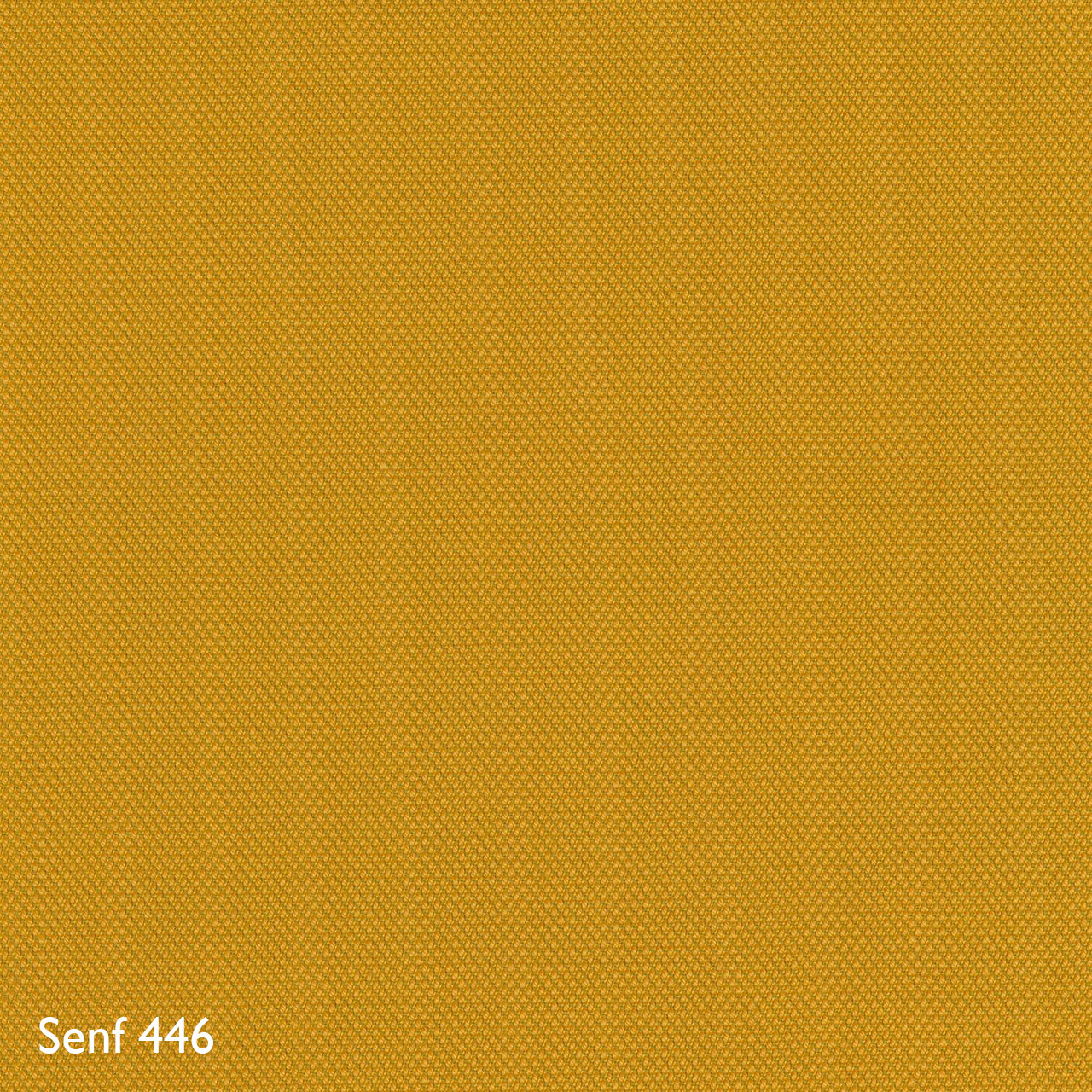 Steelcut Trio 3 Senf