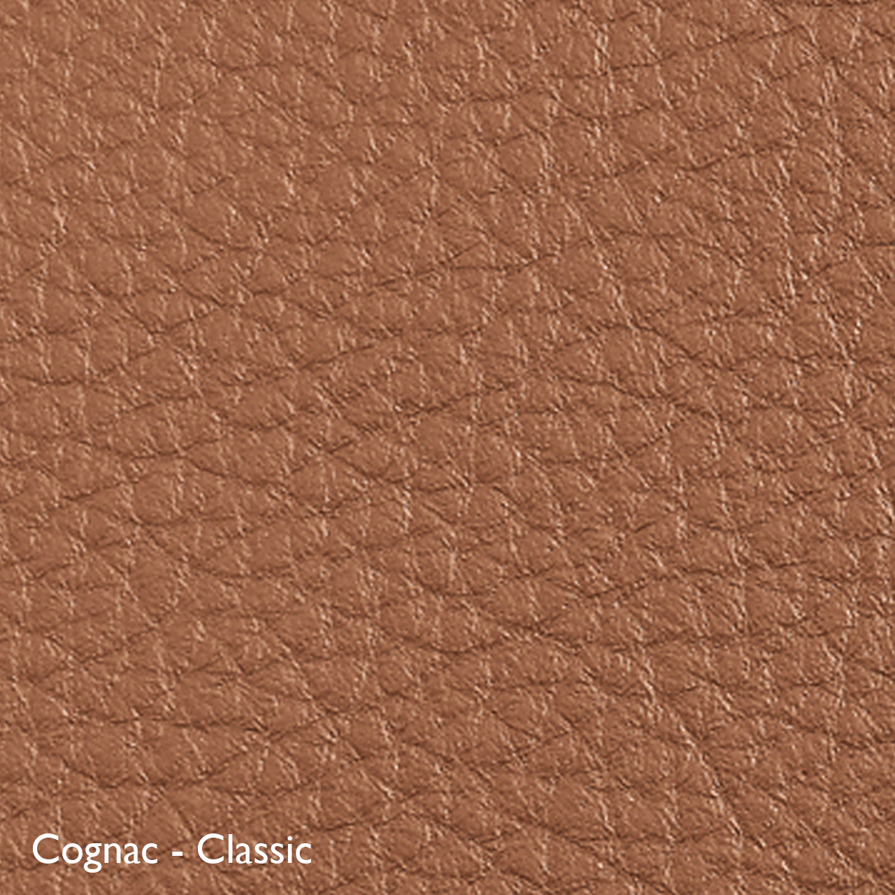 Classicon Sessel 'Euvira' mit Polsterung  Eiche natur,  Filzgleiter,  Cognac - Classic