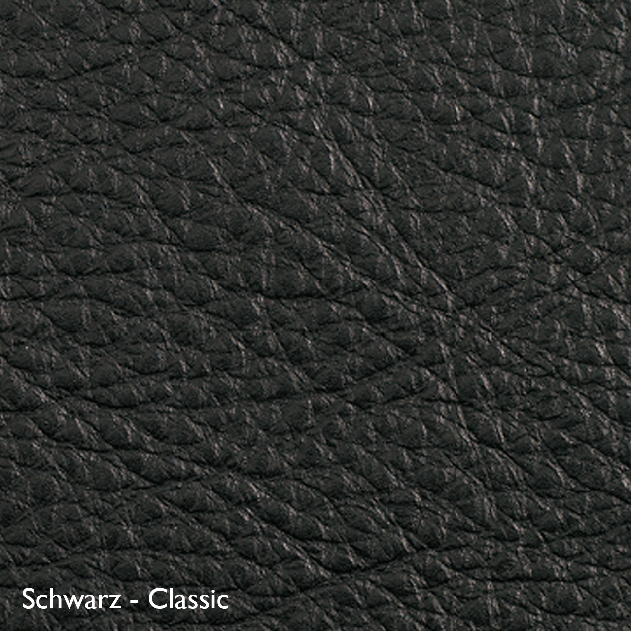 Classicon Sessel 'Euvira' mit Polsterung  Eiche natur,  Filzgleiter,  Schwarz - Classic