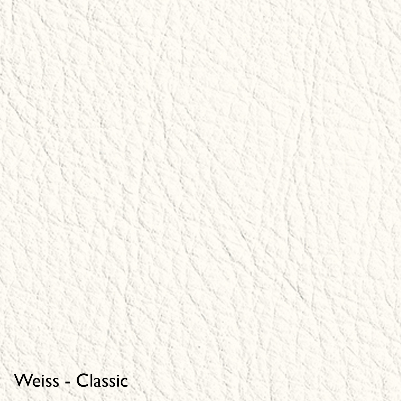 Classicon Sessel 'Euvira' mit Polsterung  Eiche natur,  Filzgleiter,  Weiss - Classic