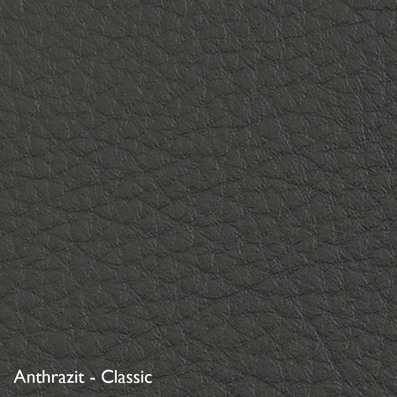 Classicon Sessel 'Euvira' mit Polsterung  Eiche natur,  Filzgleiter,  Anthrazit - Classic