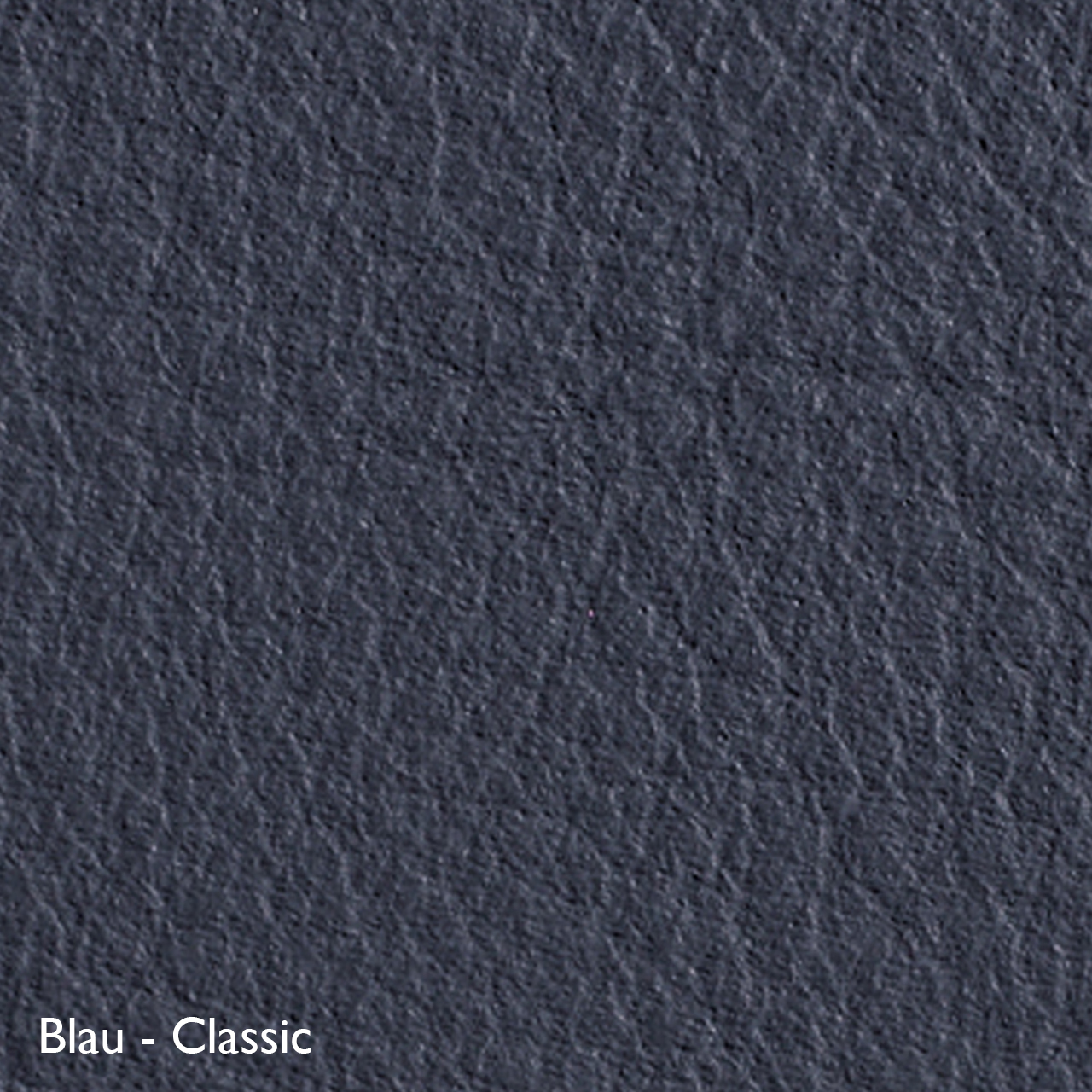 Classicon Sessel 'Euvira' mit Polsterung  Eiche natur,  Filzgleiter,  Blau - Classic