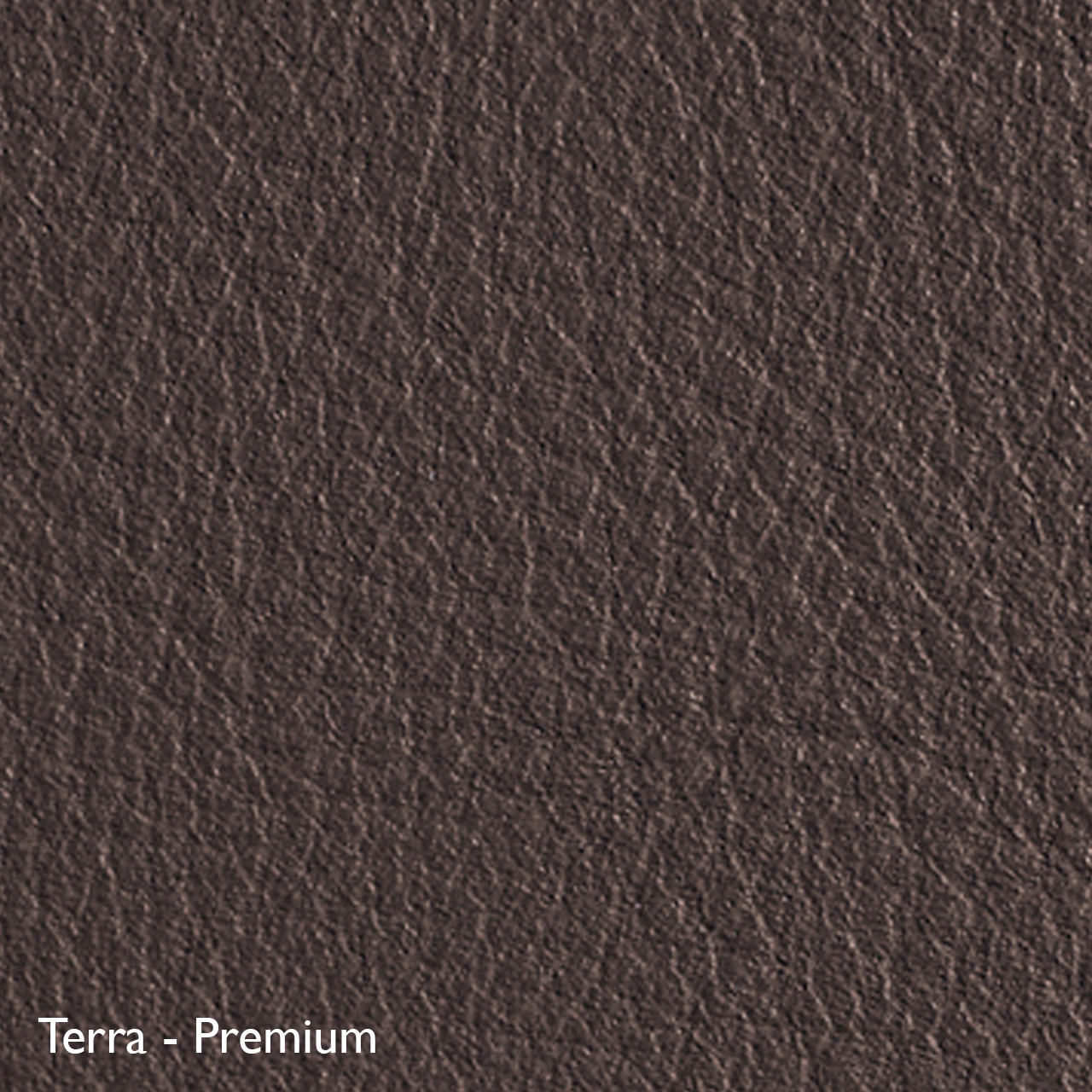 Classicon Sessel 'Euvira' mit Polsterung  Eiche natur,  Filzgleiter,  Terra - Premium