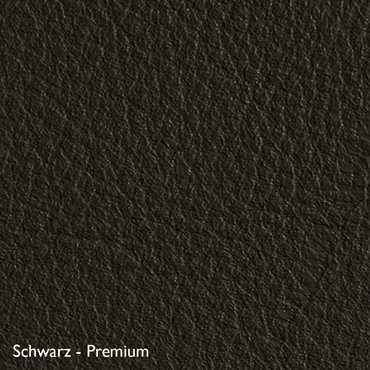 Classicon Sessel 'Euvira' mit Polsterung  Eiche natur,  Filzgleiter,  Schwarz - Premium