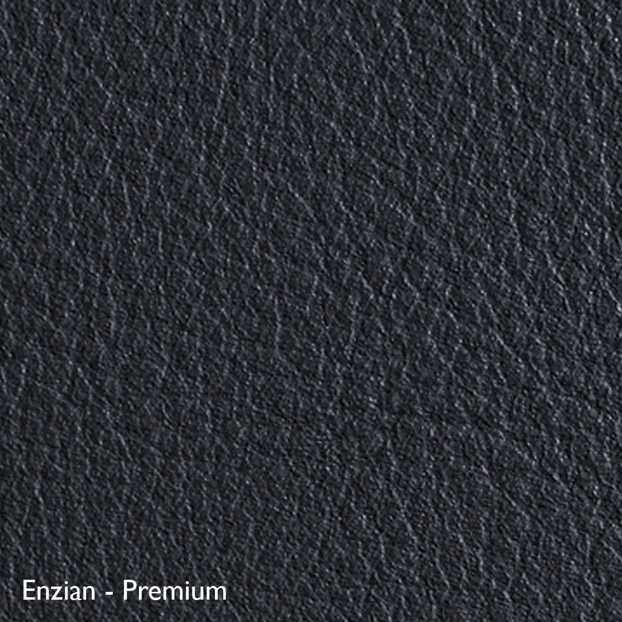Classicon Sessel 'Euvira' mit Polsterung  Eiche natur,  Filzgleiter,  Enzian - Premium
