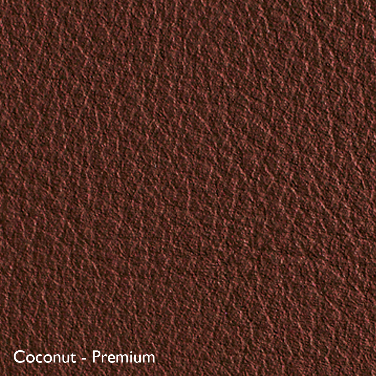 Classicon Sessel 'Euvira' mit Polsterung  Eiche braun,  Filzgleiter,  Coconut - Premium