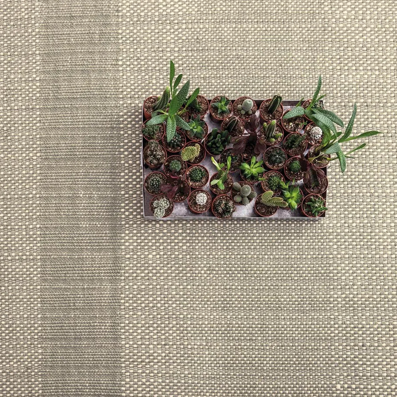 Teppich 'Tres Texture'