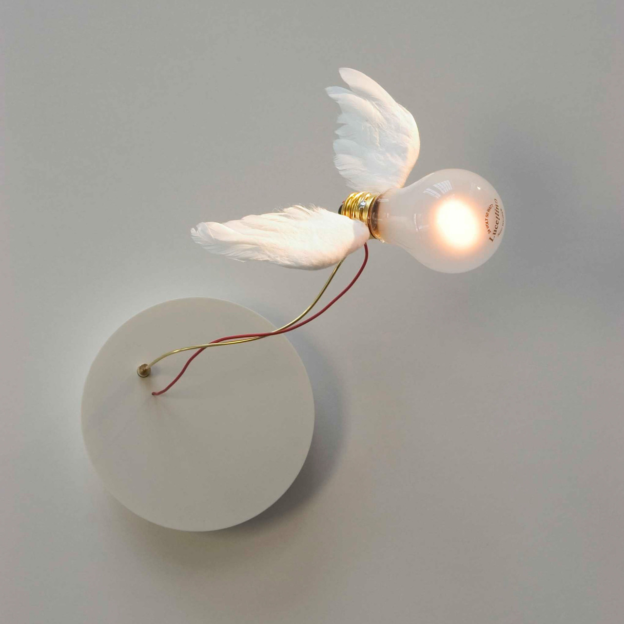 Ingo Maurer Wandleuchte 'Lucellino Wall'   230 V