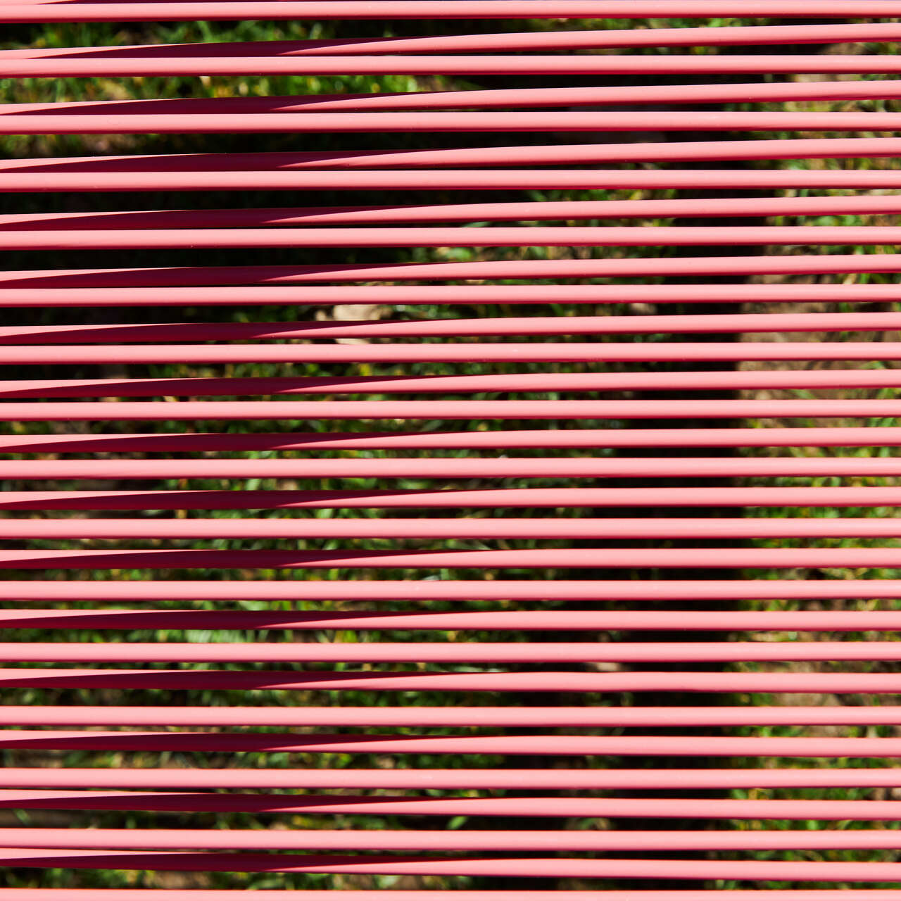 Mooris Mood Sommervorfreude