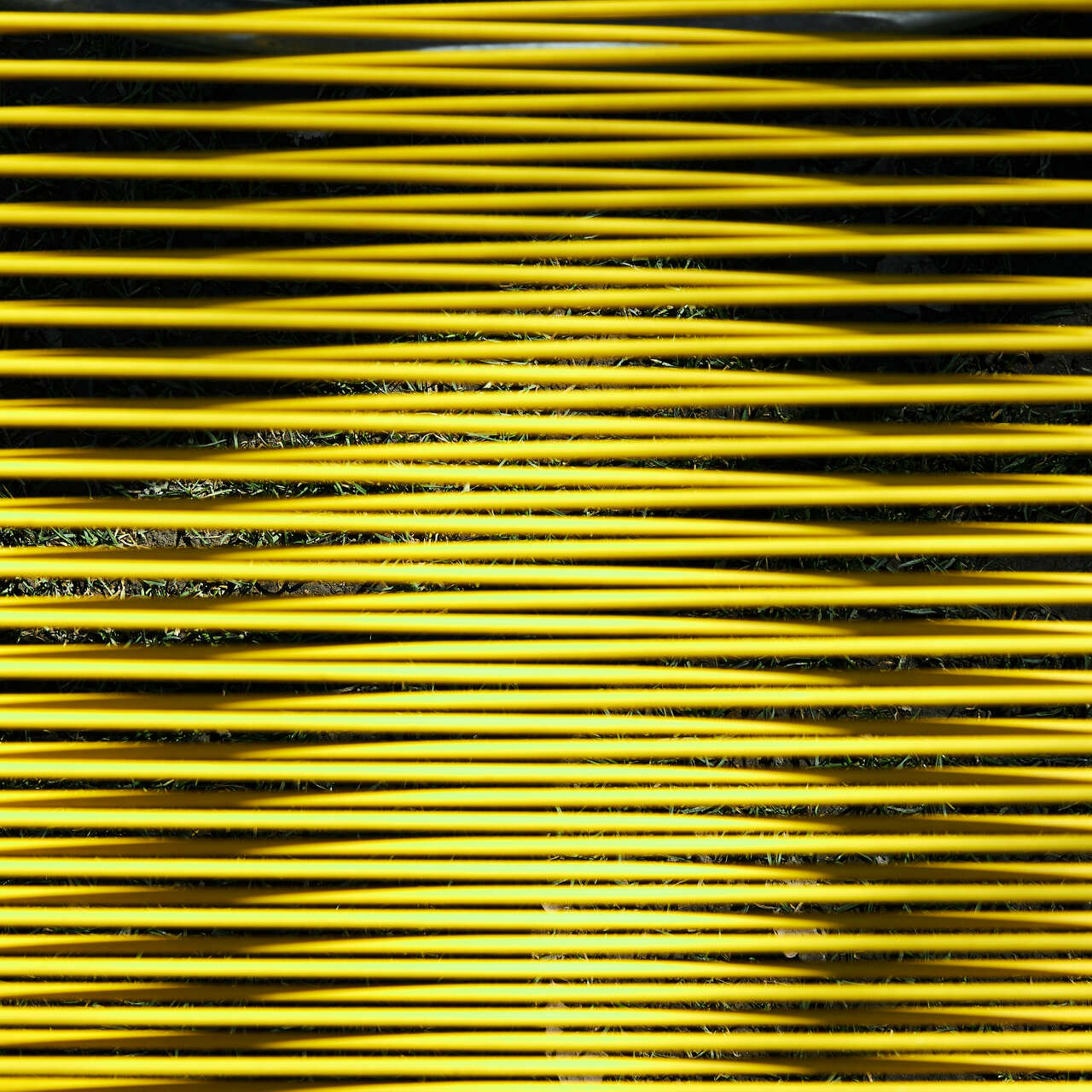 Mooris Mood Sommervorfreude