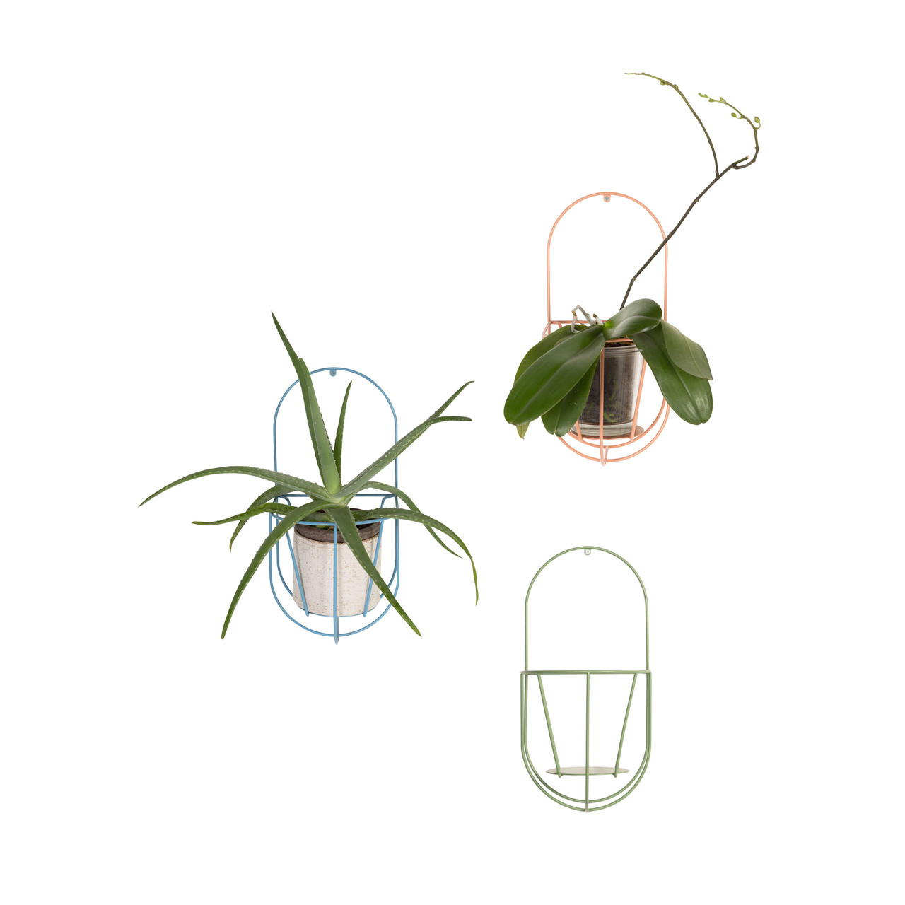 Ok Design Wand-Planzenhalter 'Cibele' 