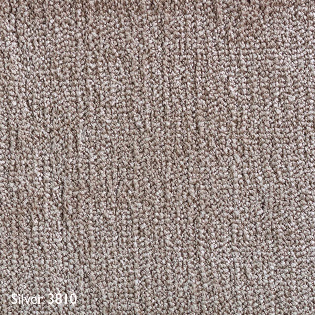 Farbkachel B.I.C Carpets Silver 3810, B: 200 cm / L: 200 cm