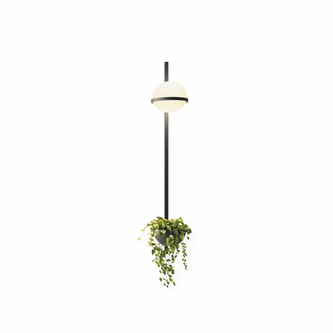 Vibia Wandleuchte 'Palma' Graphit, 1 Leuchtkugel mit Pflanzentopf
