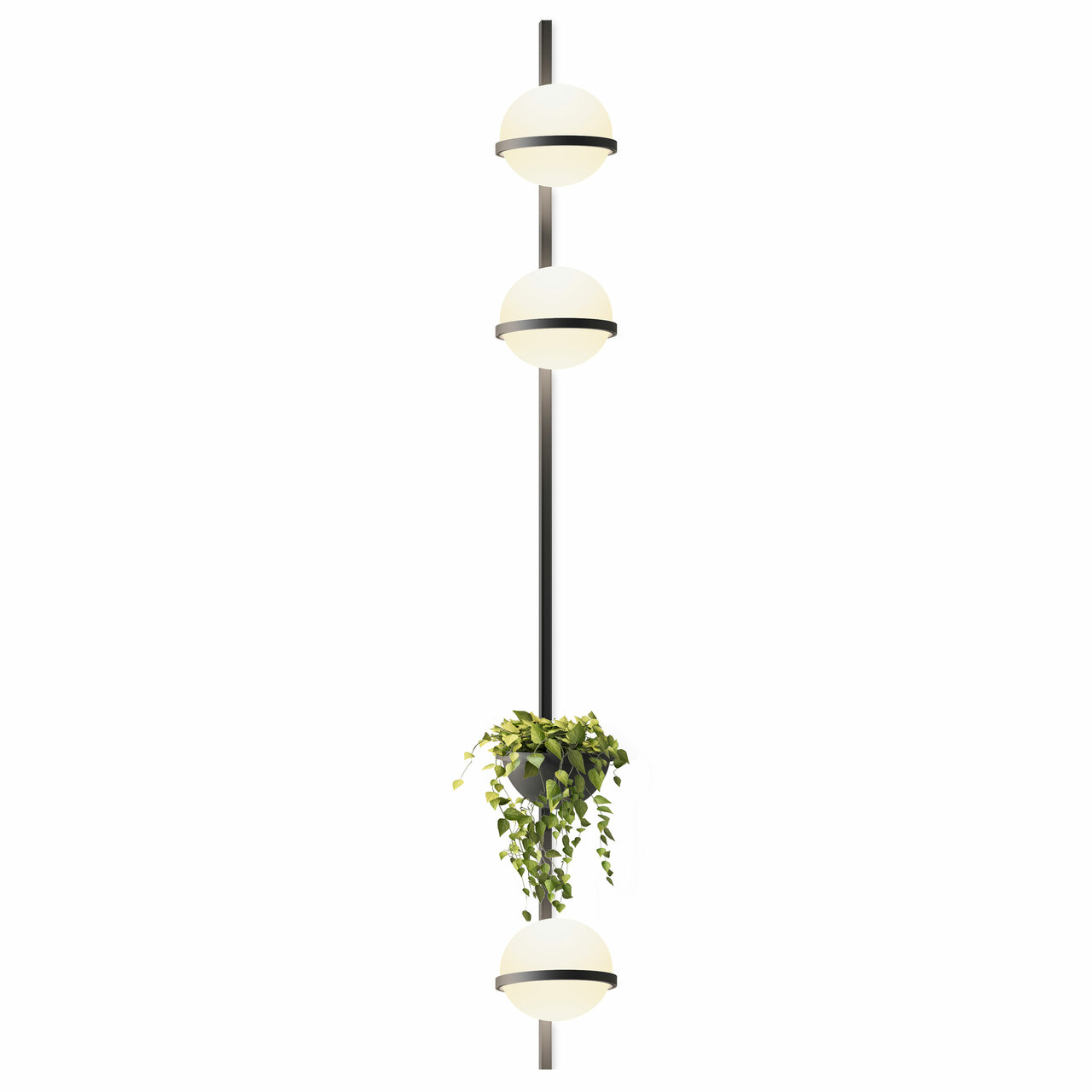 Vibia Wandleuchte 'Palma' Graphit, 3 Leuchtkugeln mit Pflanzentopf