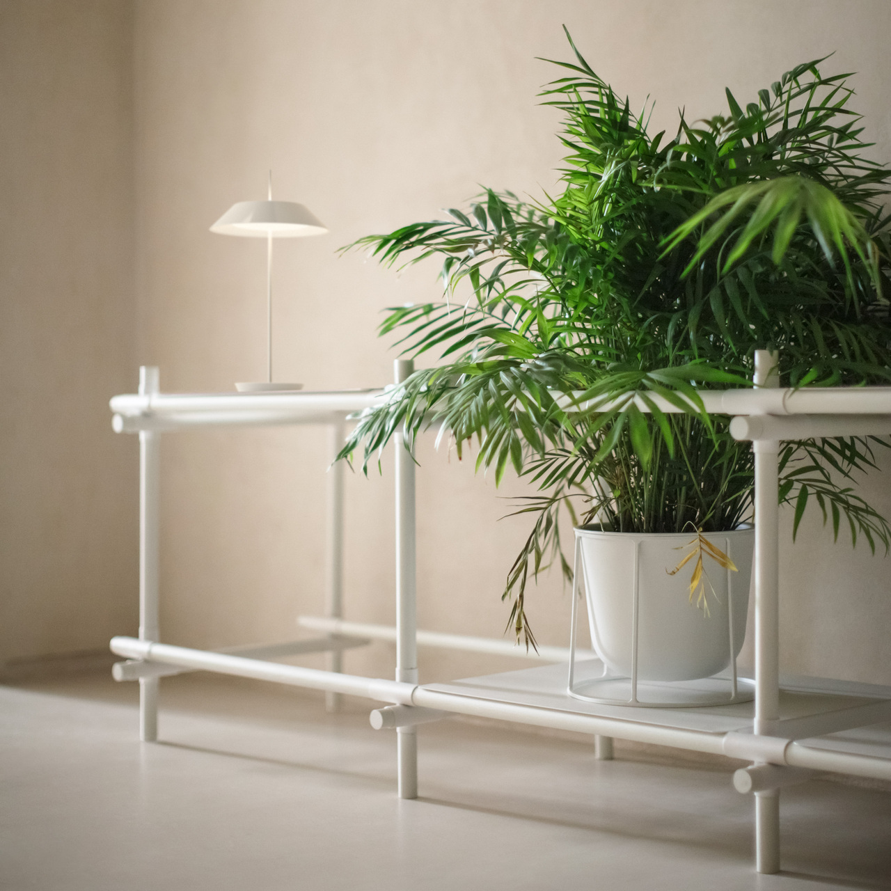 Vibia Tischleuchte Mayfair Mini 